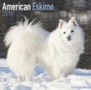 Image for American Eskimo Calendar 2019