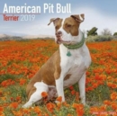 Image for American Pit Bull Terrier Calendar 2019