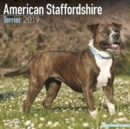 Image for American Staffordshire Terrier Calendar 2019