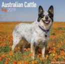 Image for Australian Cattle Dog Calendar 2019
