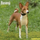 Image for Basenji Calendar 2019