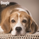 Image for Beagle Calendar 2019