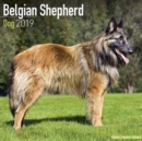 Image for Belgian Shepherd Calendar 2019