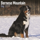 Image for Bernese Mountain Dog Calendar 2019