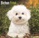 Image for Bichon Frise Calendar 2019