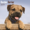 Image for Border Terrier Calendar 2019