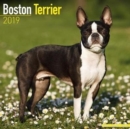 Image for Boston Terrier Calendar 2019