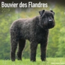 Image for Bouvier des Flandres Calendar 2019