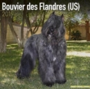 Image for Bouvier des Flandres (US) Calendar 2019