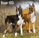 Image for Boxer (US) Calendar 2019