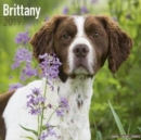 Image for Brittany Calendar 2019