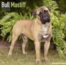 Image for Bull Mastiff Calendar 2019