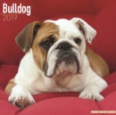 Image for Bulldog Calendar 2019