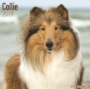 Image for Collie Calendar 2019