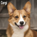 Image for Corgi Calendar 2019