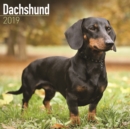 Image for Dachshund Calendar 2019