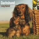 Image for Dachshund Long Haired Calendar 2019