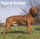 Image for Dogue de Bordeaux Calendar 2019