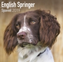 Image for English Springer Spaniel Calendar 2019