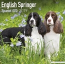 Image for English Springer Spaniel (US) Calendar 2019