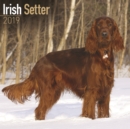 Image for Irish Setter Calendar 2019