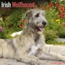 Image for Irish Wolfhound Calendar 2019