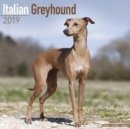 Image for Italian Greyhound Calendar 2019