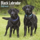 Image for Black Labrador Retriever Calendar 2019