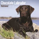 Image for Chocolate Labrador Retriever Calendar 2019