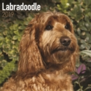Image for Labradoodle Calendar 2019