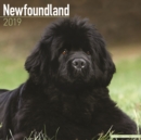 Image for Newfoundland Calendar 2019