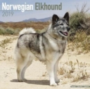 Image for Norwegian Elkhound Calendar 2019