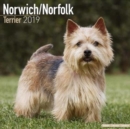 Image for Norwich/Norfolk Terrier Calendar 2019