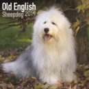 Image for Old English Sheepdog Calendar 2019