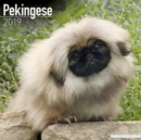 Image for Pekingese Calendar 2019