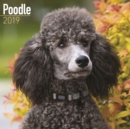 Image for Poodle Calendar 2019