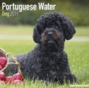 Image for Portuguese Water Dog Calendar 2019