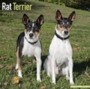 Image for Rat Terrier Calendar 2019