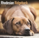 Image for Rhodesian Ridgeback Calendar 2019