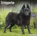 Image for Schipperke Calendar 2019