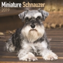Image for Miniature Schnauzer Calendar 2019