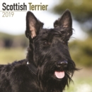 Image for Scottish Terrier Calendar 2019