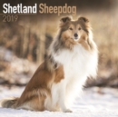 Image for Shetland Sheepdog Calendar 2019