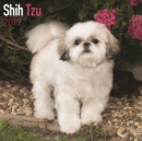 Image for Shih Tzu Calendar 2019