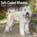 Image for Soft Coated Wheaten Terrier Calendar 2019