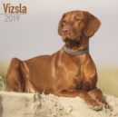 Image for Vizsla Calendar 2019