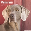 Image for Weimaraner Calendar 2019