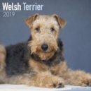 Image for Welsh Terrier Calendar 2019