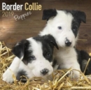 Image for Border Collie Puppies Calendar 2019