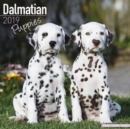 Image for Dalmatian Puppies Calendar 2019
